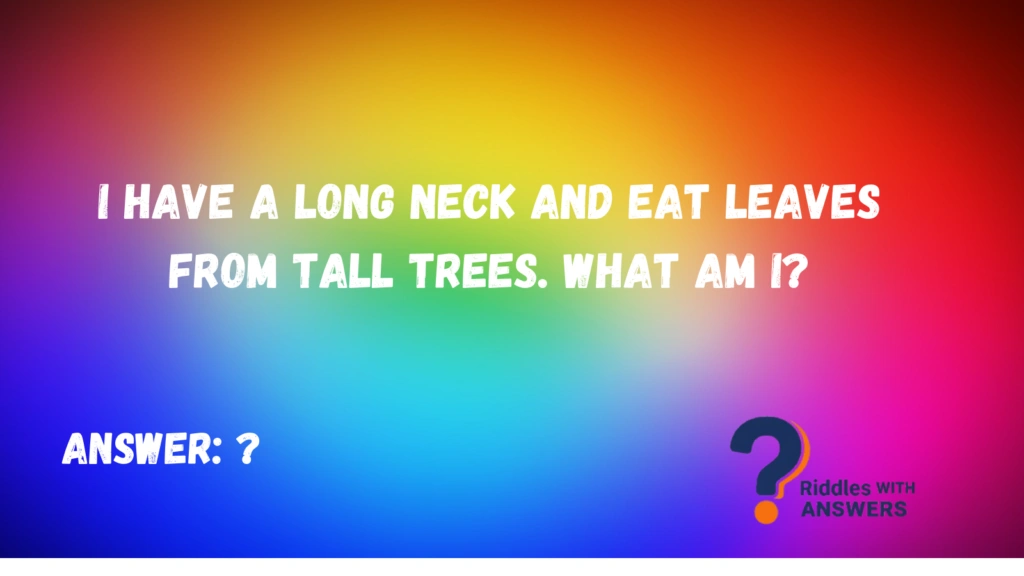 Brain teaser riddles 